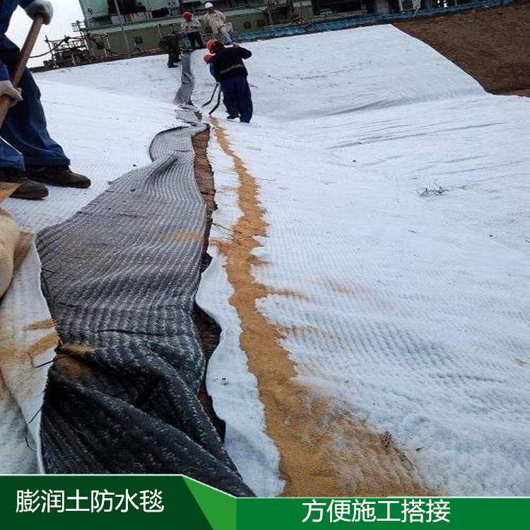 臨夏復合土工膜 600g長絲土工布 耐腐蝕土工膜